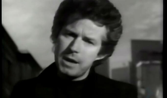 Don Henley — The Boys Of Summer download video